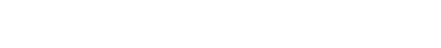 1DDLOGO-DMS-HORIZONTAL